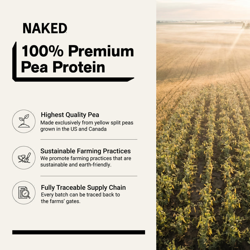 Vanilla Pea Protein Powder - Vanilla